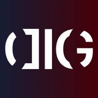 Digital Imagination Group logo - Similar company to Block Consult