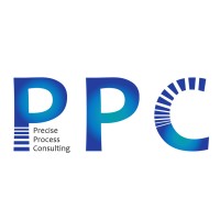 Precise Process Consulting LLC logo - Similar company to Full Link