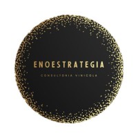 ENOESTRATEGIA logo - Similar company to Gam - Feim