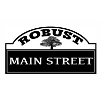 Robust Main Street Consulting logo - Similar company to Agilibo