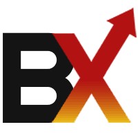 BloggingX logo - Similar company to Skelio
