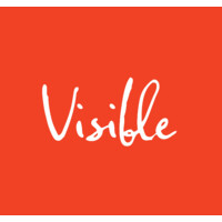Visible Studios logo - Similar company to Lcdc.Co - Creative Agency Sydney