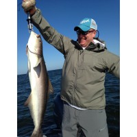 BIII Consulting (Gov, Defense, SOF, HR, Logistics) logo - Similar company to Blinkinco Llc, Sdvosb - Solutions Provider, Program Management, Risk Management And Consulting