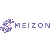 Meizon Innovation logo - Similar company to Voltmind