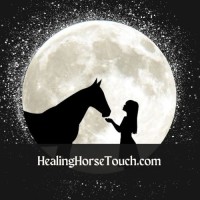 Healing Horse Touch logo - Similar company to Understand Horses