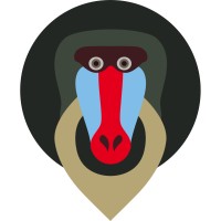 Wildmonkeys - Wildlights.Nl