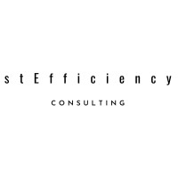StEfficiency GmbH logo - Similar company to Pioneer Partners Llp