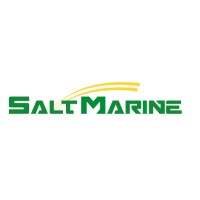 SALT Service logo - Similar company to Lapace Construction