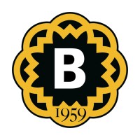 Borthwick Decorators logo - Similar company to Orr Decorators