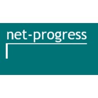 net-progress logo - Similar company to Donovan Digital Solutions