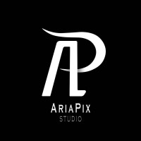 AriaPix Studio logo - Similar company to Medway Sp. Z O.O.