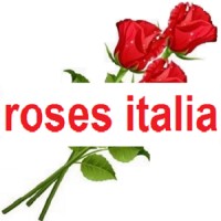 Roses Italia logo - Similar company to Impactgate