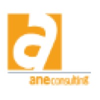 Ane Consulting logo - Similar company to A&E Consulting Llc