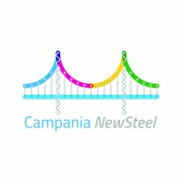 Campania NewSteel logo - Similar company to Creatoor