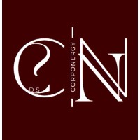 CorpoNergy Asesoría Energética logo - Similar company to Ecoluz Consultores