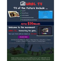 nesvio logo - Similar company to Paymattic