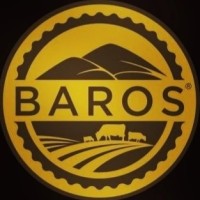PT Bukit Baros Cempaka logo - Similar company to Dipstrategy - Pt Digi Porta Semesta