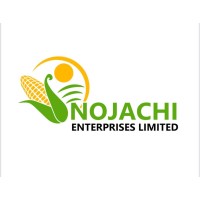 Nojachi Enterprises Limited logo - Similar company to L&Z Pte Ltd