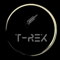 T-Rex (Team Rocket Exploration) logo - Similar company to Celestia Nssce