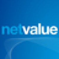 Netvalue Consultores logo - Similar company to Auction Marketer