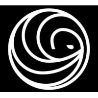 Açaí Surf logo - Similar company to Nosso Case