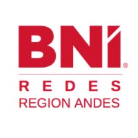 BNI REDES logo - Similar company to Ttools.Cl
