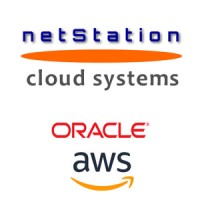 Netstation Cloud Webshop ERP logo - Similar company to Erp Efficiency Experts, Llc