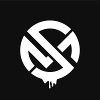 Stenex logo - Similar company to Evolux Web Design