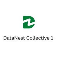 DataNest Collective 1- logo - Similar company to Clarifi