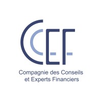 CCEF - Compagnie des Conseils et Experts Financiers logo - Similar company to Nina Technologies