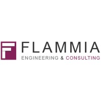 FLAMMIA Engineering & Consulting GmbH logo - Similar company to Mandatory Ventures