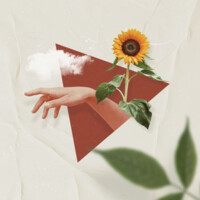 Hello Kans logo - Similar company to Nouvelle Marque