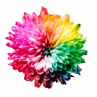 Changemaker Studio logo - Similar company to Multiskin Chile