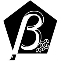 Beta Crystal logo - Similar company to Logassa Llc