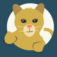 Ocelot Logistics logo - Similar company to Capital Concern Logistics