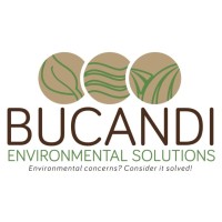 Bucandi Environmental Solutions logo - Similar company to Dzimuzwo