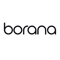 Borana logo - Similar company to Wcom Informatica