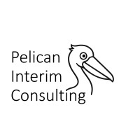 Pelican Interim Consulting logo - Similar company to S-Point B.V.