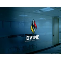 Dvine Accountants & Consultants logo - Similar company to Net It Innovations (Pty) Ltd
