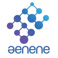 AENENE Asociación Española de Neuromarketing y Neurocomunicación logo - Similar company to Neoduction Sl