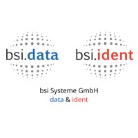 bsi Systeme GmbH logo - Similar company to Maixsys Gmbh