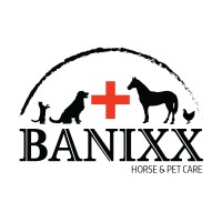 Banixx logo - Similar company to Creative Science