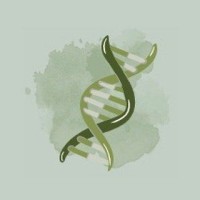 STEM Today logo - Similar company to H4 Community