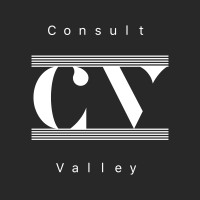 Consult Valley logo - Similar company to Catalyst Consultings