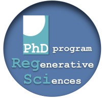 PhD Program 