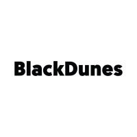 BlackDunes logo - Similar company to Mark-Eight