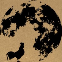 Nocturnal Rooster Design