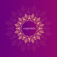 Insight360X logo - Similar company to Intelligence & Analysis