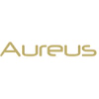 Aureus Social Ventures logo - Similar company to Iridium Sme Specialists