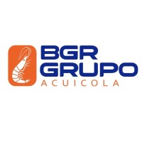 Grupo BGR logo - Similar company to Brito Group
